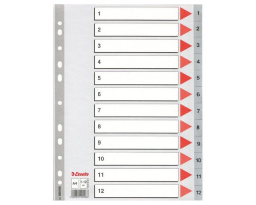 SEPARADOR NUMERICO POLIPROPILENO MULTITALADRO 1-12 FORMATO A4 COLOR GRIS ESSELTE 47138 (Espera 4 dias)