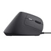 RATON TRUST BAYO II WIRED BK-1192 RATON TRUST BAYO II WIRED BK