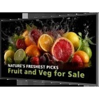 PHILIPS 24x7 ( ANDROID 11 SoC) 43" D-LINE, UHD, 600CD, 24/7 LANDSCAPE & PORTRAIT, ANDROID 14, MEDIAPLAYER, FULL FAILOVER, WIFI & BT, WAVE READY (43BDL5050D/00) (Espera 4 dias)-105134 PHILIPS 24x7 ( ANDROID 11 SoC) 43" D-LINE, UHD, 600CD, 24/7 LANDSCAPE & PORTRAIT, ANDROID 14, MEDIAPLAYER, FULL FAILOVER, WIFI & BT, WAVE READY (43BDL5050D/00) (Espera 4 dias)