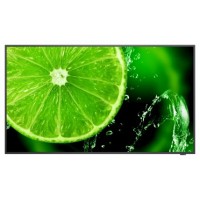 NEC E series MultiSync E558 Pantalla plana para señalización digital 138,7 cm (54.6") LCD 350 cd / m² 4K Ultra HD Negro 16/7 (Espera 4 dias)