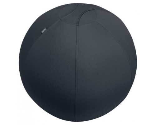 Leitz Active Sitzball 55cm Gris Interior Esférico (Espera 4 dias)