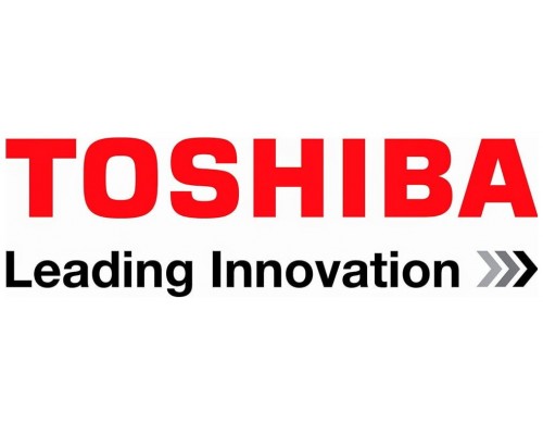 TOSHIBA Licencia GS-1110NODE EMBEDDED OCR LICENSE