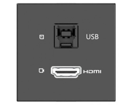 KRAMER ROOM CONNECTIVITY PASSIVE BLACK MODULE WITH 1 HDMI PORT + 1 USBB PORT INPUT.- MD-H+B/AF(B) (80-000358) (Espera 4 dias)-10527 KRAMER ROOM CONNECTIVITY PASSIVE BLACK MODULE WITH 1 HDMI PORT + 1 USBB PORT INPUT.- MD-H+B/AF(B) (80-000358) (Espera 4 dias)