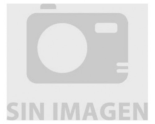 PAE BATIDORA VARILLA 1700 W TAURUS INOX ROBOT 1000