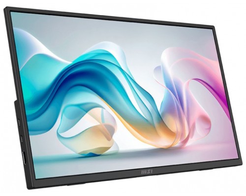MONITOR MSI PRO MP165 E6 (Espera 4 dias)
