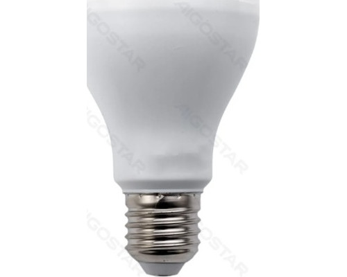 BOMBILLA LED A67-E27 20W 6500K LUZ FRIA 2100LM AIGOSTAR (Espera 4 dias)-2180 BOMBILLA LED A67-E27 20W 6500K LUZ FRIA 2100LM AIGOSTAR (Espera 4 dias)