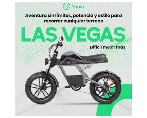 YOUIN E-BIKE URBAN STYLE FAT (Espera 4 dias)