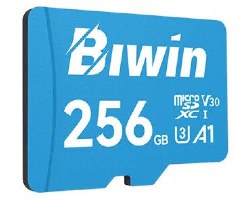 Biwin MS100 microSDXC UHS-1 256GB C10 U3 V30 A1