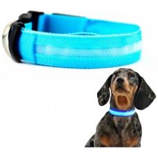 Collar Mascotas LED Biwond Talla L Azul (Espera 2 dias)