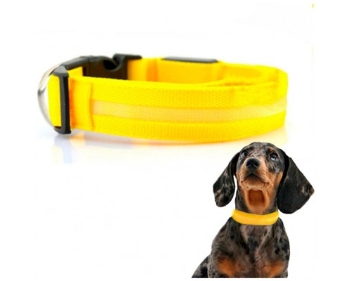 Collar Mascotas LED Biwond Talla L Amarillo (Espera 2 dias)
