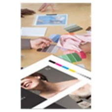Epson GF Papel Proofing White Semimatte, 13" x 15.2m, 256g