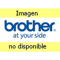 BROTHER Deposito de tinta residual  (WASD004V5001)