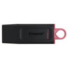 Kingston DataTraveler DTX 256GB USB 3.2 Gen1 Negro