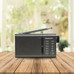 DAE-RADIO DW1035-1191 DAE-RADIO DW1035