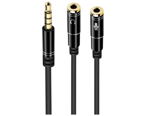 Ewent EC1641 cable de audio 0,3 m 3,5mm 2 x 3.5mm Negro (Espera 4 dias)