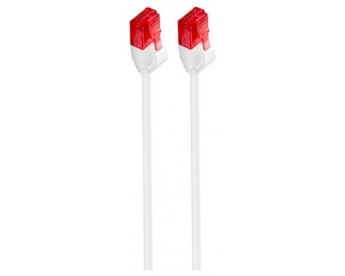 Ewent IM1035 cable de red 0,25 m Cat6 U/UTP (UTP) Blanco (Espera 4 dias)