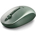 RATON NGS FOG DUAL GREE-1191 RATON NGS FOG DUAL GREE