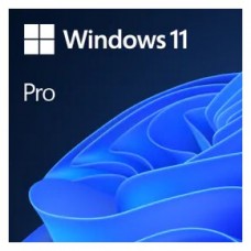 Microsoft Windows 11 Pro 1 licencia(s) (Espera 4 dias)