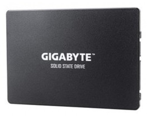 Gigabyte GP-GSTFS31256GTND unidad de estado sólido 2.5" 256 GB Serial ATA III V-NAND (Espera 4 dias)