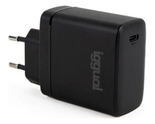 iggual Cargador rápido USB PD tipo C 45W GaN