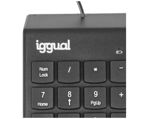 iggual Teclado numérico USB CK-NUM-19T negro