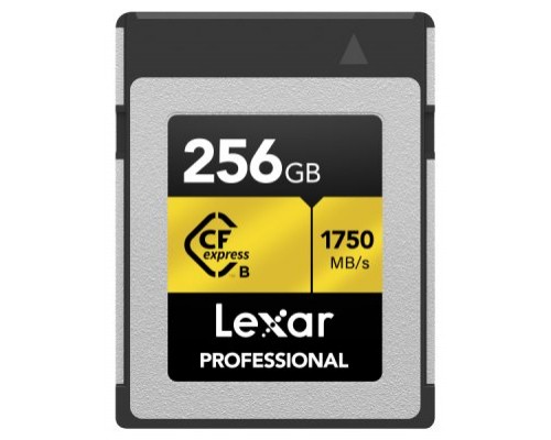Lexar CFexpress Type B 256 GB CFexpress tipo B (Espera 4 dias)