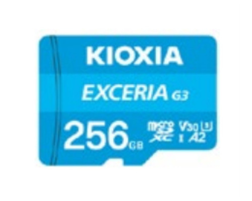 MICROSD KIOXIA EXCERIA G3 256GB-1429 MICROSD KIOXIA EXCERIA G3 256GB
