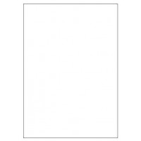 CAJA 100 HOJAS ETIQUETAS BLANCAS SIN MÁRGENES-LÁSER/INYECCIÓN DE TINTA/FOTOCOPIADORAS-210X297 MM MEGASTAR LP4MS-210297 (Espera 4 dias)