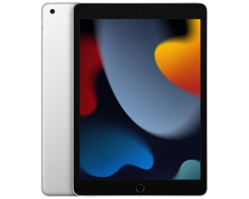 IPAD APPLE 2021 256 PL