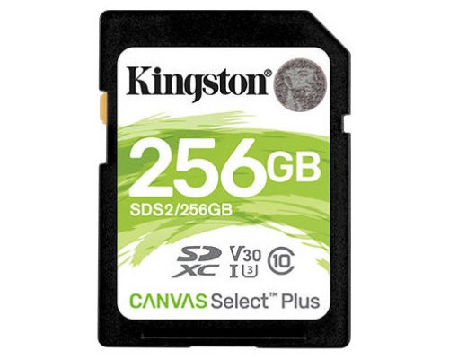 Kingston Technology Canvas Select Plus memoria flash 256 GB SDXC Clase 10 UHS-I (Espera 4 dias)