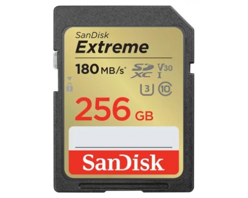 MEMORIA SD 256GB SANDISK SDSDXVV-256G-GNCIN EXTREME