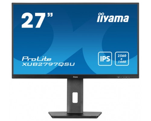 MONITOR IIYAMA IPS. 1H 1DP, 2X3.2, 100HZ, 300CD (Espera 4 dias)